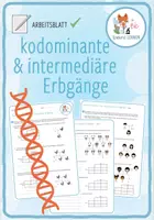 Vorschau - Arbeitsblätter - Erbgänge (kodominant und intermediär) – Arbeitsblatt - Deckblatt