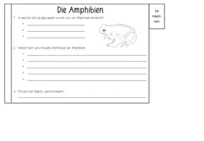 Vorschau - Arbeitsblätter - AMPHIBIEN - Flipbook - Seite 3