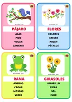 Vista previa - Unidades / Secuencias / Situaciones de Aprendizaje - PALABRAS PROHIBIDAS "PRIMAVERAL" - página 2