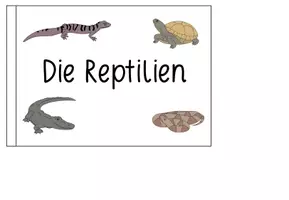 Vorschau - Arbeitsblätter - REPTILIEN - Flipbook - Seite 2