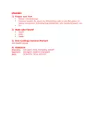 Vorschau - Arbeitsblätter - Sommer, Sonne, Sonnenschein - Seite 1