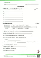 Vorschau - Arbeitsblätter - Sachkunde TEST Körper (Knochen, Gelenke, Organe) 3.Klasse - Seite 1