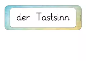 Vorschau - Unterrichtsreihen - Der Tastsinn - Seite 2