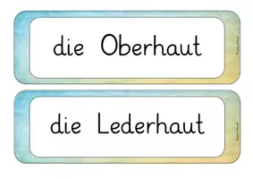 Vorschau - Unterrichtsreihen - Der Tastsinn - Seite 3