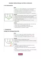 Vorschau - Stundenentwürfe - Basketball: Taktikvermittlung in Mittel- und Oberstufe - Seite 3