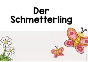 Vorschau - Stationenlernen - Materialpaket Schmetterling - Seite 3