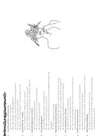 Vorschau - Anderer Materialtyp - Hospitationstagebuch_LiV - Seite 2