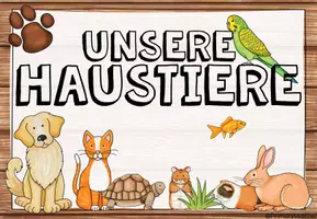 Vorschau - Unterrichtsreihen - Haustiere - Unterrichtsreihe (Kl. 1/2) - Seite 2