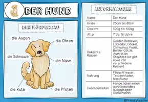 Vorschau - Unterrichtsreihen - Haustiere - Unterrichtsreihe (Kl. 1/2) - Seite 3