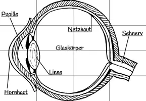 Vorschau - Spiele - Das Auge - Spiele - Seite 1