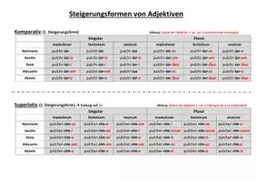 Vorschau - Arbeitsblätter - Materialpaket: Formentabellen Latein (Deklinationen, Konjugationen) - Seite 3
