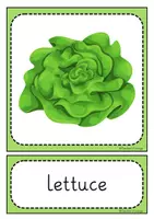 Vorschau - Bildkarten - Vegetables- Picture + Word Cards - Seite 3