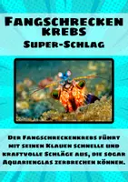 Vorschau - Merkblätter - 20 Tafelkarten Lernkarten von Tieren mit ihren Fähigkeiten - Seite 2