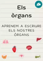 Vista previa - Hojas de trabajo - Targetes dels òrgans, t'animes a escriure el seu nom? - Portada