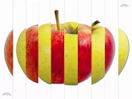 Vorschau - Arbeitsblätter - KIPPBILD „Apfel“ (Kippbild, Agamograph, Zickzack-Bild, Wackelbild, - optische Täuschung zum Falten) - Seite 3