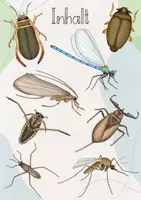 Vorschau - Präsentationen/Tafelbilder - Tafelbild: Insekten am Teich/ See/ Weiher - Seite 2