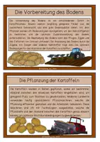 Vorschau - Text - Differenzierte Wissenskarten - Kartoffelanbau früher und heute - Seite 3