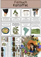 Vorschau - Arbeitsblätter - Kartoffel - Faltbuch - Deckblatt
