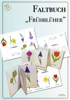 Vorschau - Arbeitsblätter - Faltbuch „Frühblüher“ (Faltheft, Frühling; bunt oder zum Ausmalen) - Deckblatt