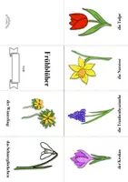 Vorschau - Arbeitsblätter - Faltbuch „Frühblüher“ (Faltheft, Frühling; bunt oder zum Ausmalen) - Seite 1