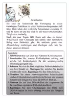 Vorschau - Stundenentwürfe - Lernsituation mit Aufgaben & Materialien zu Kohlenhydrate & Senioren - Seite 2
