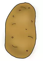 Vorschau - Poster - Tafelmaterial - Aufbau der Kartoffelknolle - Seite 3