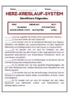 Vorschau - Arbeitsblätter - Herz-Kreislauf-System: Organe benennen, Puls Herz-Kreislauf-Erkrankungen - Seite 1