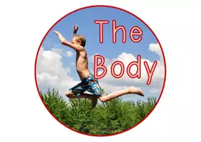 Vorschau - Anderer Materialtyp - Body - Legekreis (Englisch) - Seite 1