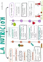 Vista previa - Refuerzo / NEE / Materiales de apoyo - LA NUTRICIÓN - página 1
