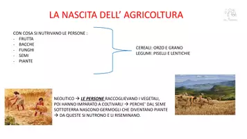 anteprima - Materiale di supporto/inclusione - MAPPA- AGRICOLTURA NEL NEOLITICO - Pagina di copertina