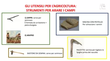 anteprima - Materiale di supporto/inclusione - MAPPA- AGRICOLTURA NEL NEOLITICO - Pagina 2