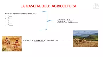 anteprima - Materiale di supporto/inclusione - MAPPA- AGRICOLTURA NEL NEOLITICO - Pagina 3