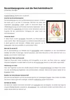 Vorschau - Arbeitsblätter - Novemberpogrome und die Reichskristallnacht - Lückentext und Übungen (Lösungen) - Deckblatt