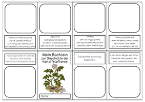 Vorschau - Arbeitsblätter - Kartoffel - Faltbuch - Seite 3