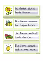 Vorschau - Aufgabenkarten - Abschreibfächer "Basis" Grundschrift und Schreibschrift - Seite 2