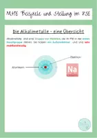 Vorschau - Stundenentwürfe - NuT 8 Alkalimetalle Unterrichtsstunde - Seite 3