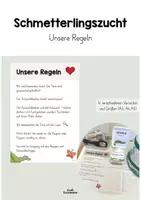 Vorschau - Poster - Schmetterlingszucht - Unsere Regeln - Deckblatt