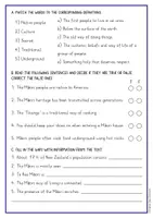 Vorschau - Fördermaterial/Inklusion - New Zealand - the Maori: reading comprehension and grammar (Englisch) - Seite 2