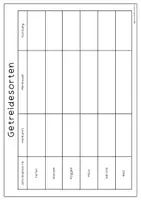 Vorschau - Arbeitsblätter - Getreidesorten - Seite 3