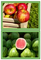 Vorschau - Präsentationen/Tafelbilder - Bildkarten - Obst & Gemüse - Gesunde Ernährung - Seite 1