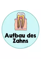 Vorschau - Stationenlernen - Unsere Zähne - Tafelmaterial und Zusatzmaterial - Seite 2