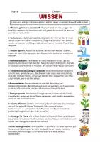 Vorschau - Arbeitsblätter - Umwelt schützen, Umweltschutz, Energie sparen, Wasser sparen, Recycling - Seite 2
