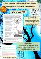 Vorschau - Arbeitsblätter - Das Neuron, 4 Abschnitte, Aufbau und Funktion - Deckblatt