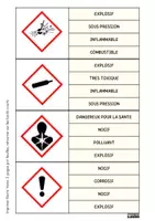 Aperçu - Apprentissages en autonomie - Sciences physiques: carte à pince: les pictogrammes - Page de couverture