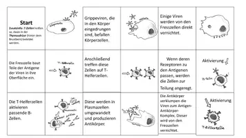 Vorschau - Spiele - Domino_Immunreaktion - Seite 1