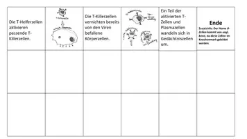 Vorschau - Spiele - Domino_Immunreaktion - Seite 2
