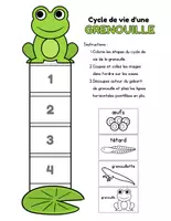 Aperçu - Préparation de séance / Séance complète - Cycles de vie Sciences +4 fiches d'activités - Page de couverture