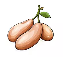 Vorschau - selbst erstellte Cliparts/Grafiken - Clip Arts Gemüse (30 Bilder) - Seite 3