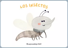 Vista previa - Unidades / Secuencias / Situaciones de Aprendizaje - Los insectos: letras iniciales, conteo e investigación. - página 2