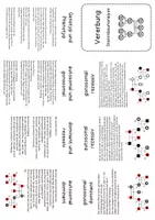 Vorschau - Merkblätter - Buddybook Stammbaumanalyse - Seite 2